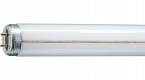 Fluorescent Lamp Philips TL-M Rapid Start Standard Colours