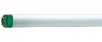 Fluorescent Lamp Philips MASTER TL-D Eco