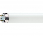 Fluorescent Lamp Philips MASTER TL-D Xtreme
