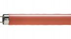 Fluorescent Lamp Philips TL-D Colored