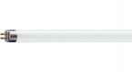 T5 Standard