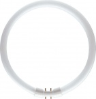 Fluorescent Lamp Philips MASTER TL5 Circular
