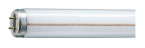 Fluorescent tube  TL-M RS 65W/33-640 1SL/25