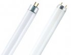 Fluorescent Lamps