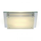 Other Ceiling Fluorescent Luminaires