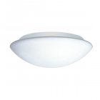 Surface Monted Ceiling Luminaires