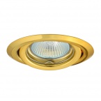 Ceiling lighting point luminaire  ARGUS CT-2115-G